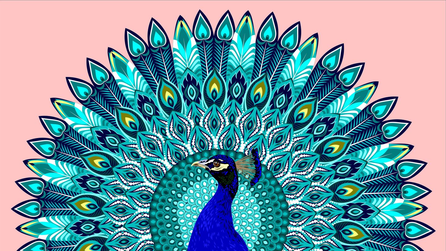 Nicht-blenden-lassen-3-Taktiken-mit-denen-du-weniger-anziehend-auf-Narzissten-wirkst