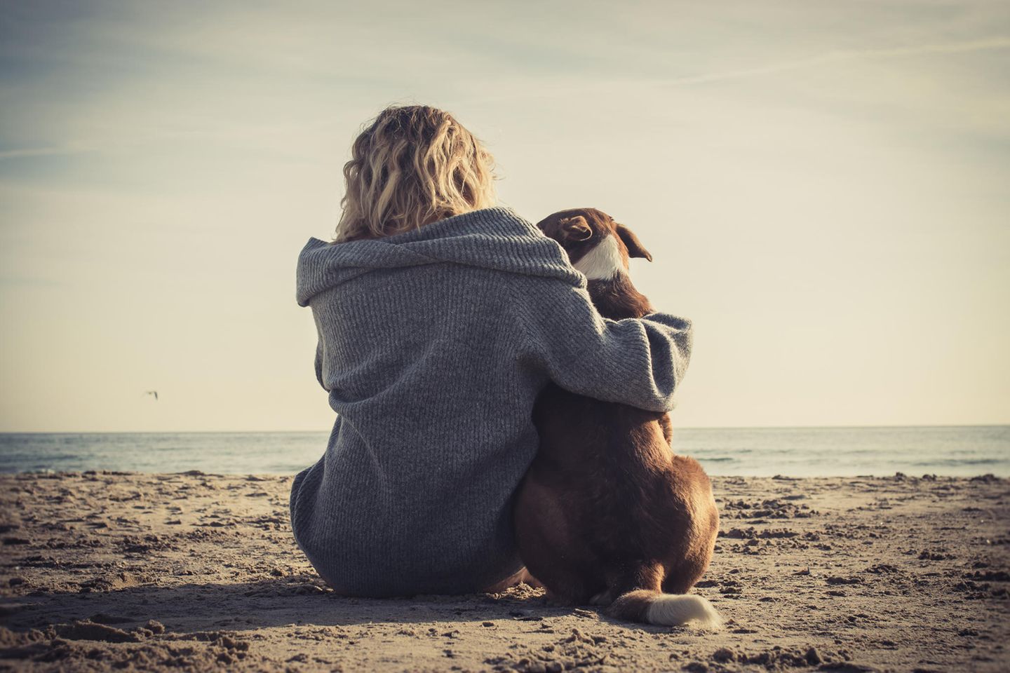 Psychologie: Eine Frau mit Hund am Meer