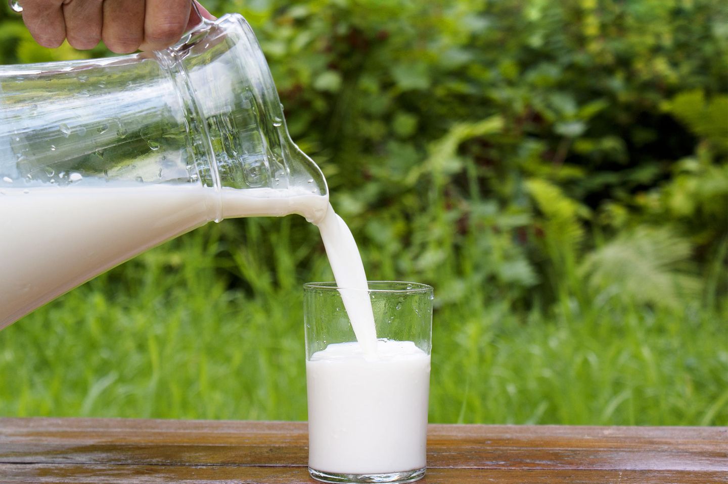 Garten 2024: Darum ist Milch ein echter Geheimtipp fr dein Gemsebeet