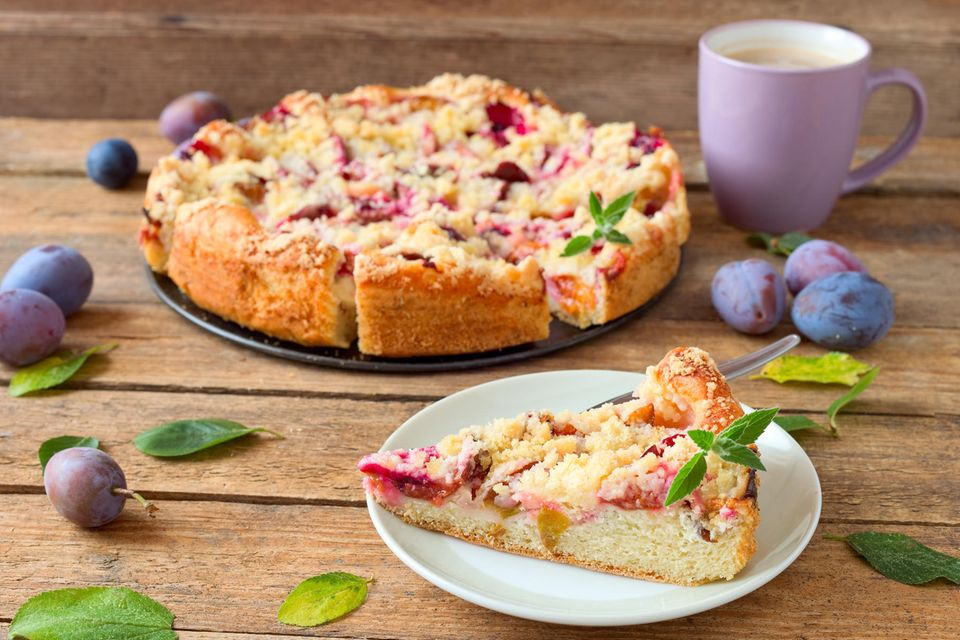 Pflaumenkuchen Rührteig mit Streuseln Springform