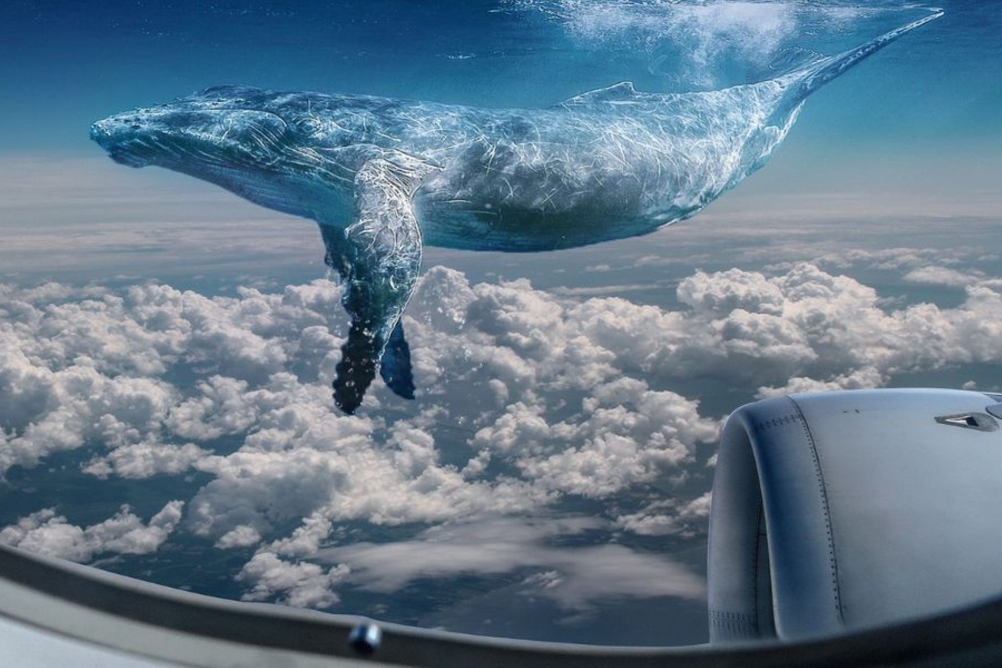 Самолет летающий по воде. Летающий кит. Небесный кит. Киты в небе. Летающий кит в небе.