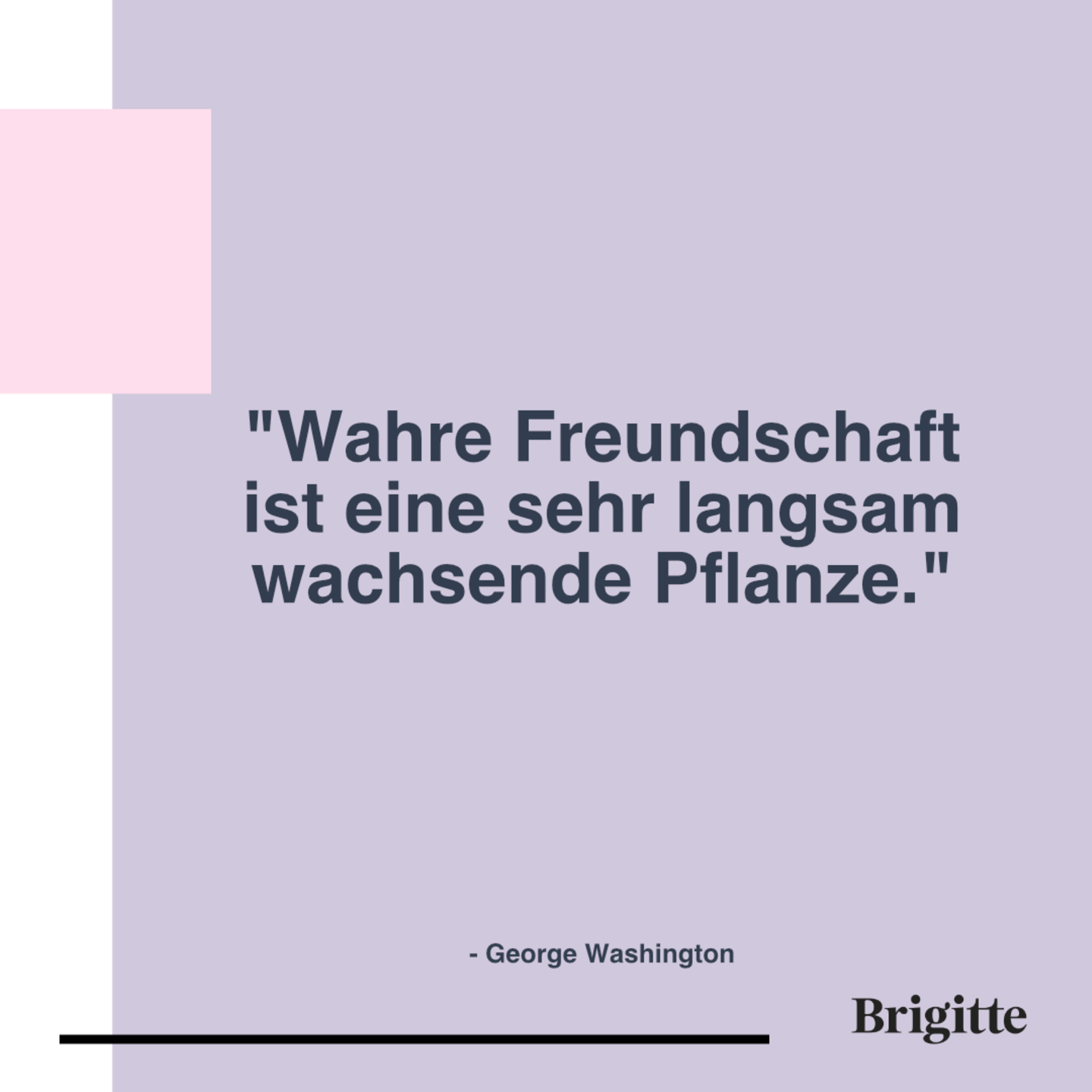 27 berührende Zitate über Freundschaften BRIGITTE.de