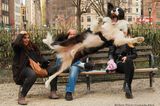 Comedy Pet Photo Award 2023: Hund