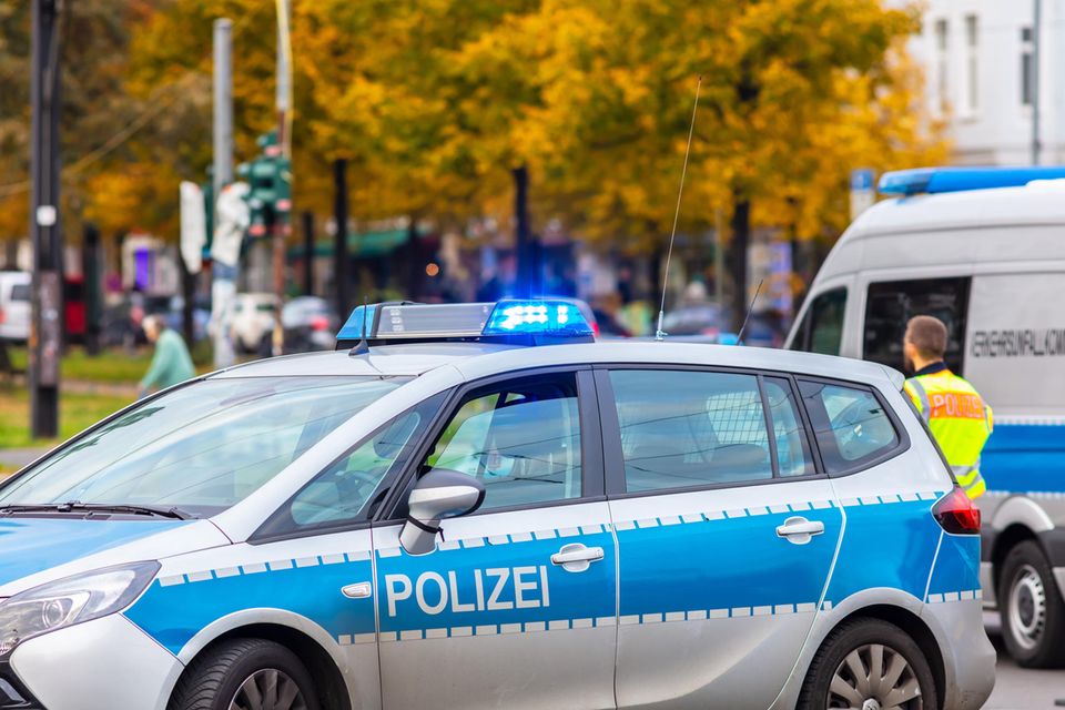 Achtung! In Berlin ist eine Raubkatze entlaufen: Polizeiauto