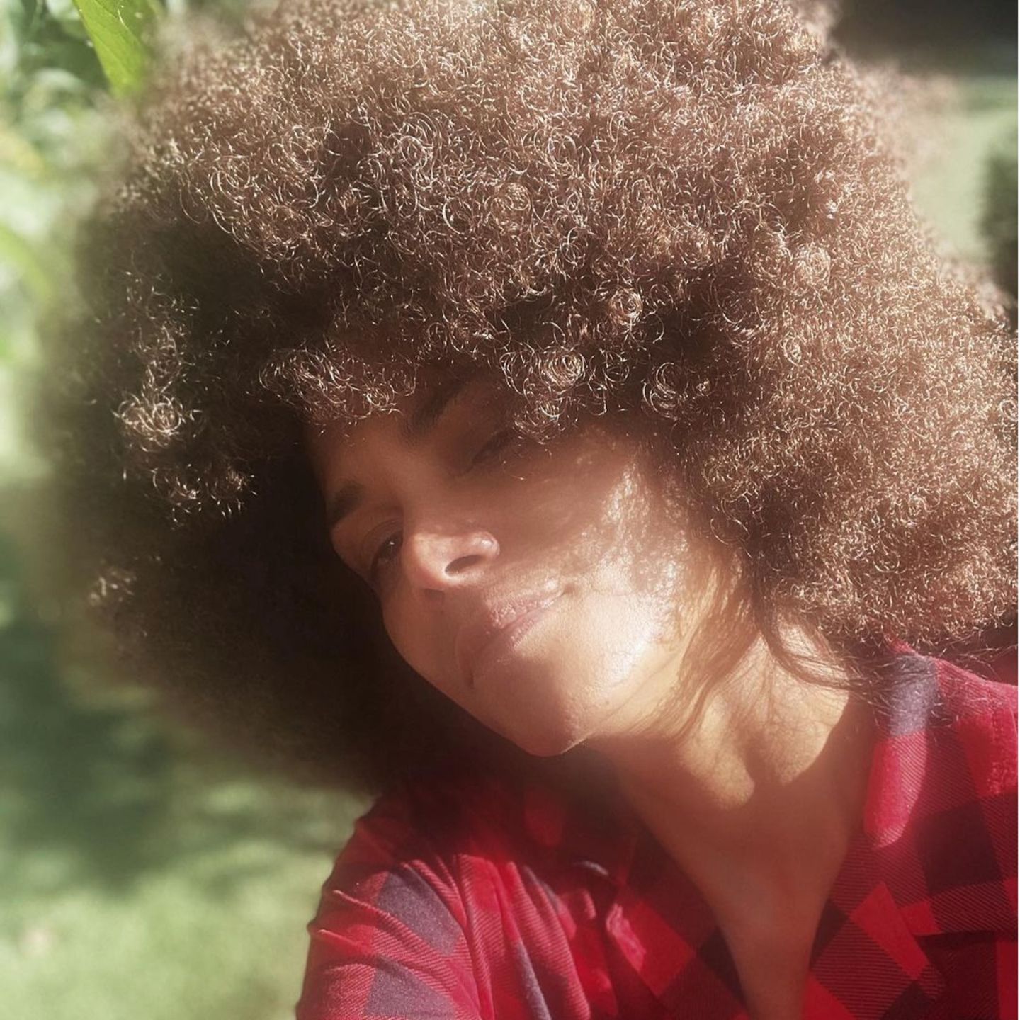 So hat man Halle Berry tatsächlich lange nicht mehr gesehen! Auf ihrem neusten Instagrambild zeigt die Schauspielerin: Sie trägt ihr Haar wieder natürlich mit Afro. Die braunen Locken hält sie lächelnd in die Kamera. Toller Look!