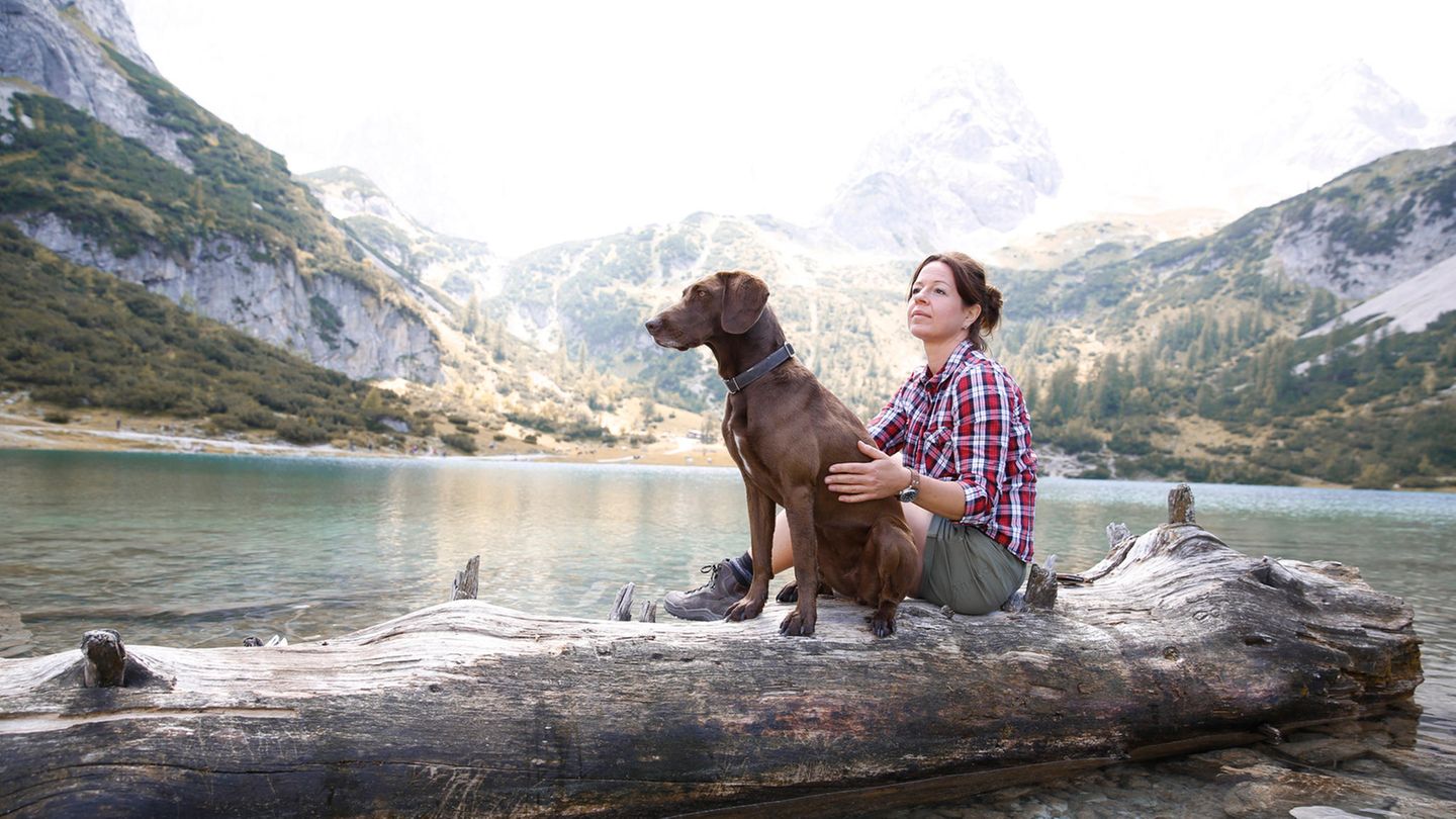 Weihnachten verreisen mit Hund: Ein Fest für Zwei- und Vierbeiner – Der umfassende Guide für entspannte Feiertage