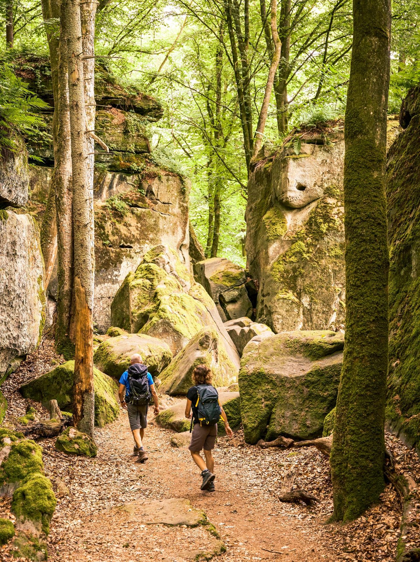 Märchenhaft ist nicht nur das Mullerthal, durch das ein 112-Kilometer-Trail führt.