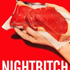 Buchtipps der Redaktion: Buchcover "Nightbitch"