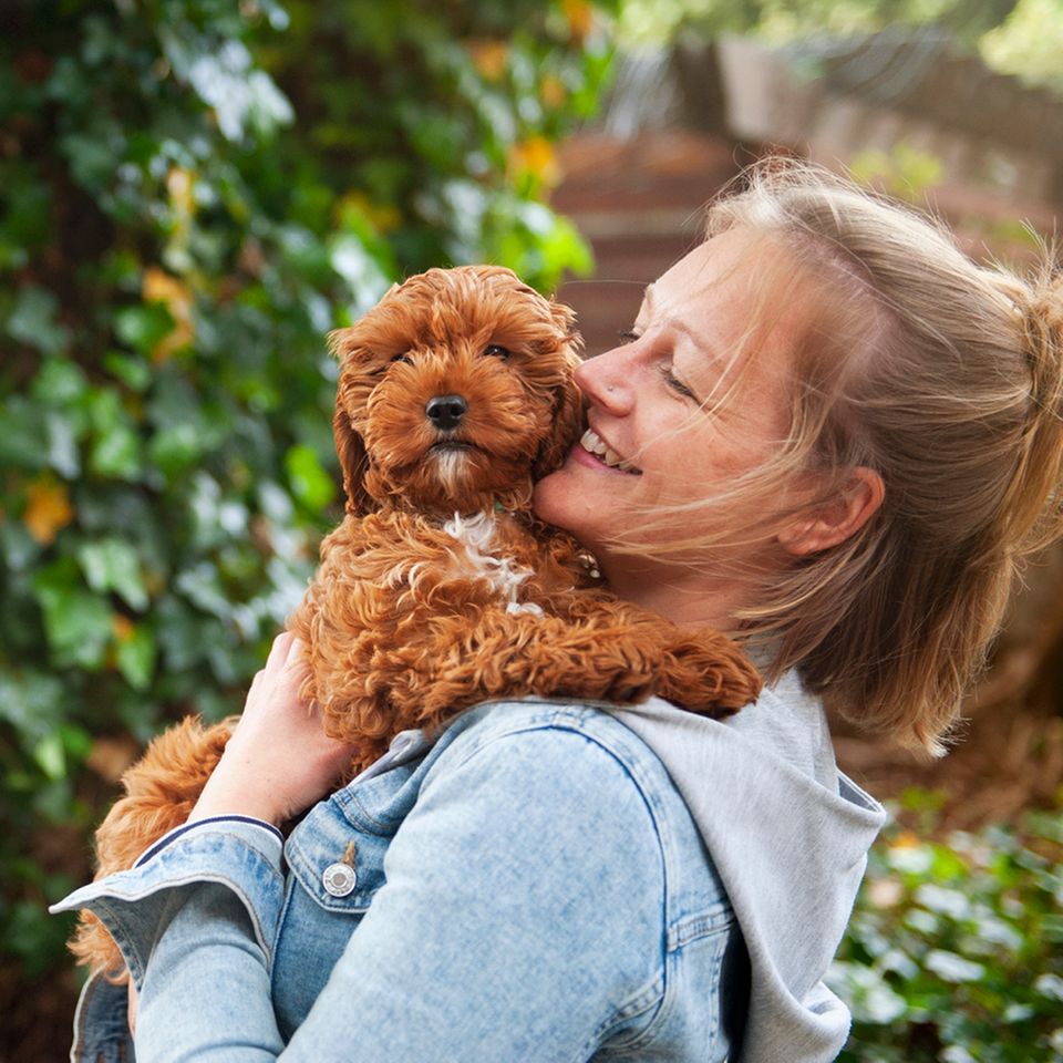 Gewinnspiel: Gewinne ein 12-monatiges Abo für dein individuelles Hundefutter von tails.com!