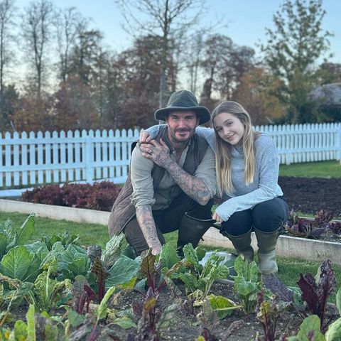 Gärten der Promis: David Beckham mit Tochter Harper Seven