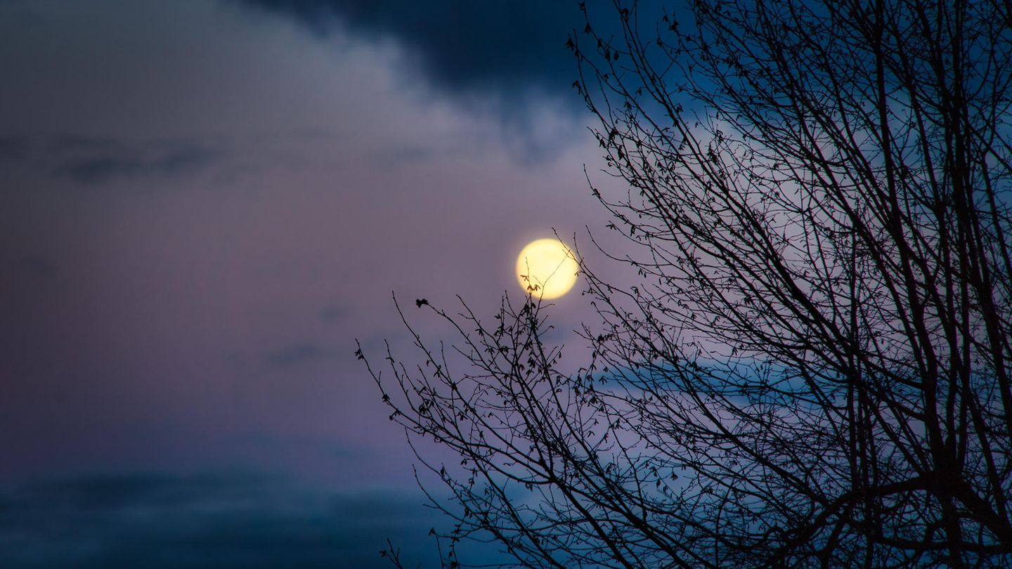 Sperrn-chte-ab-8-12-Wie-sie-uns-helfen-das-alte-Jahr-zu-verabschieden