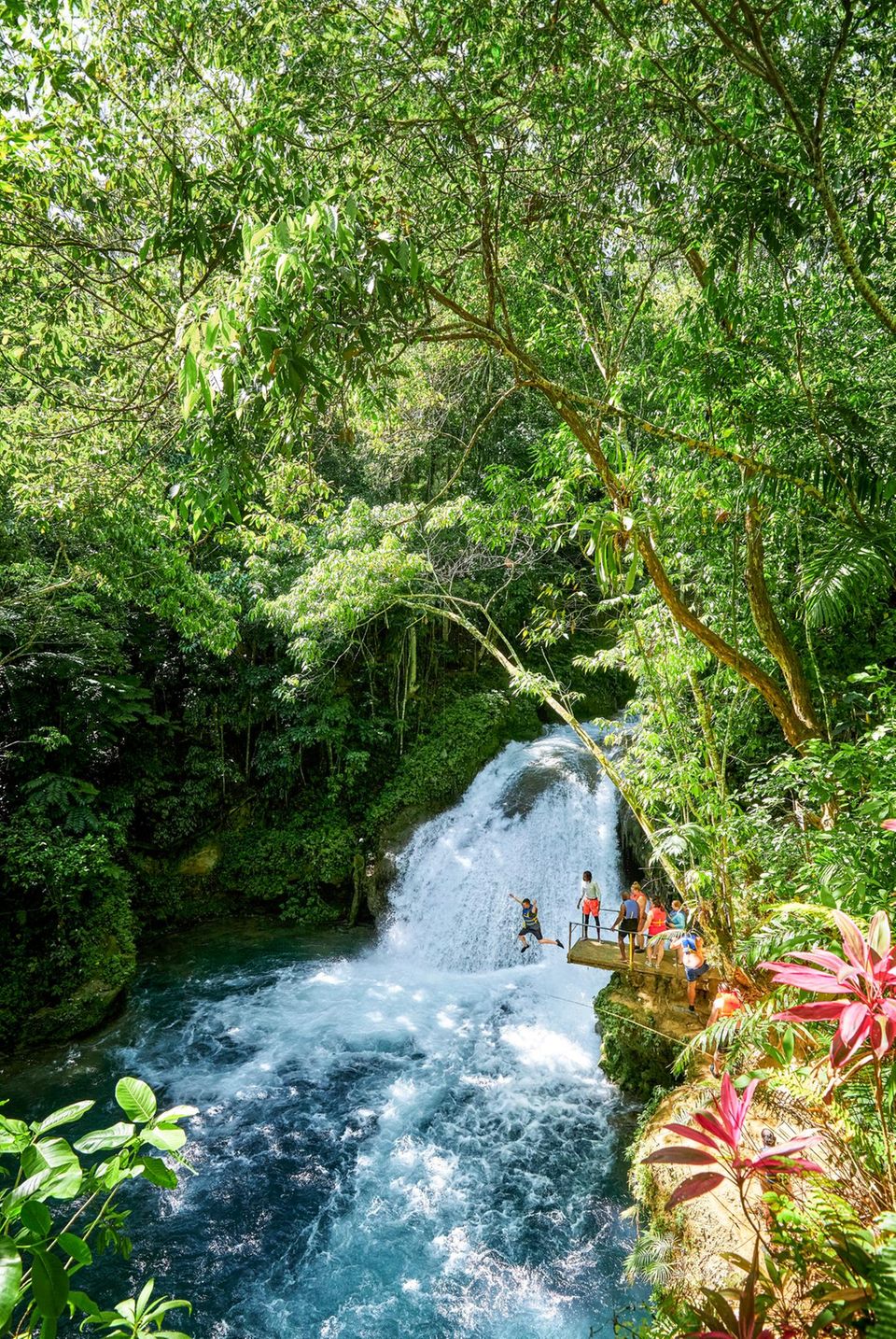 Jamaika: Island Gully Falls
