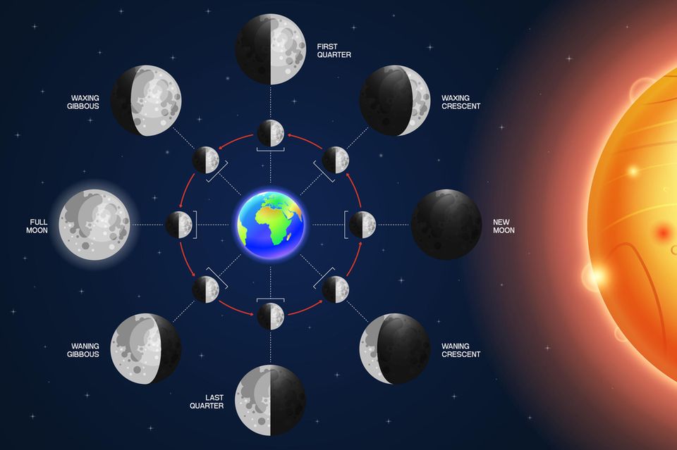 Schaubild der acht Mondphasen