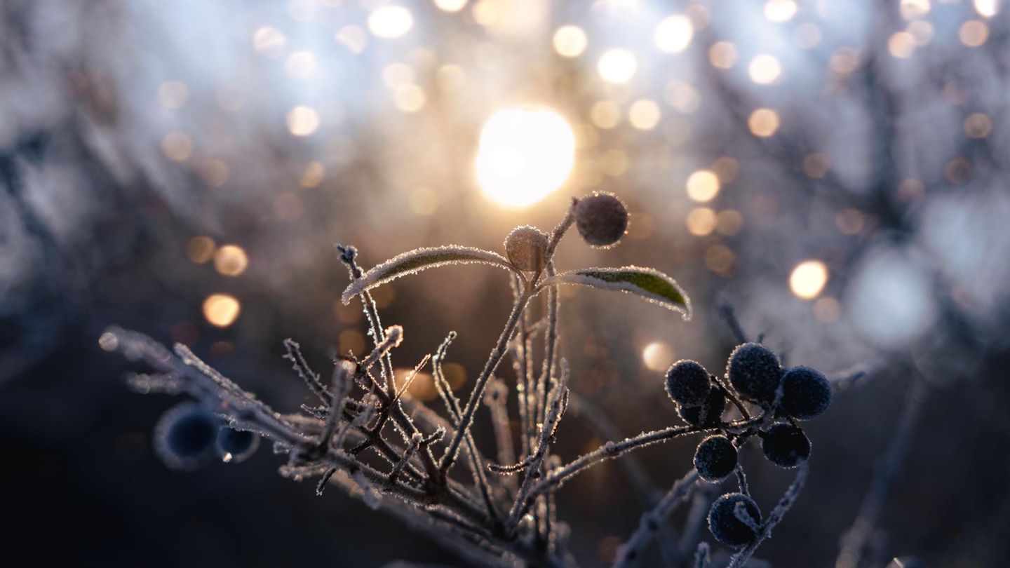 Wintersonnenwende-am-21-12-L-ngste-Nacht-st-rkste-Klarheit-Warum-du-heute-loslassen-solltest