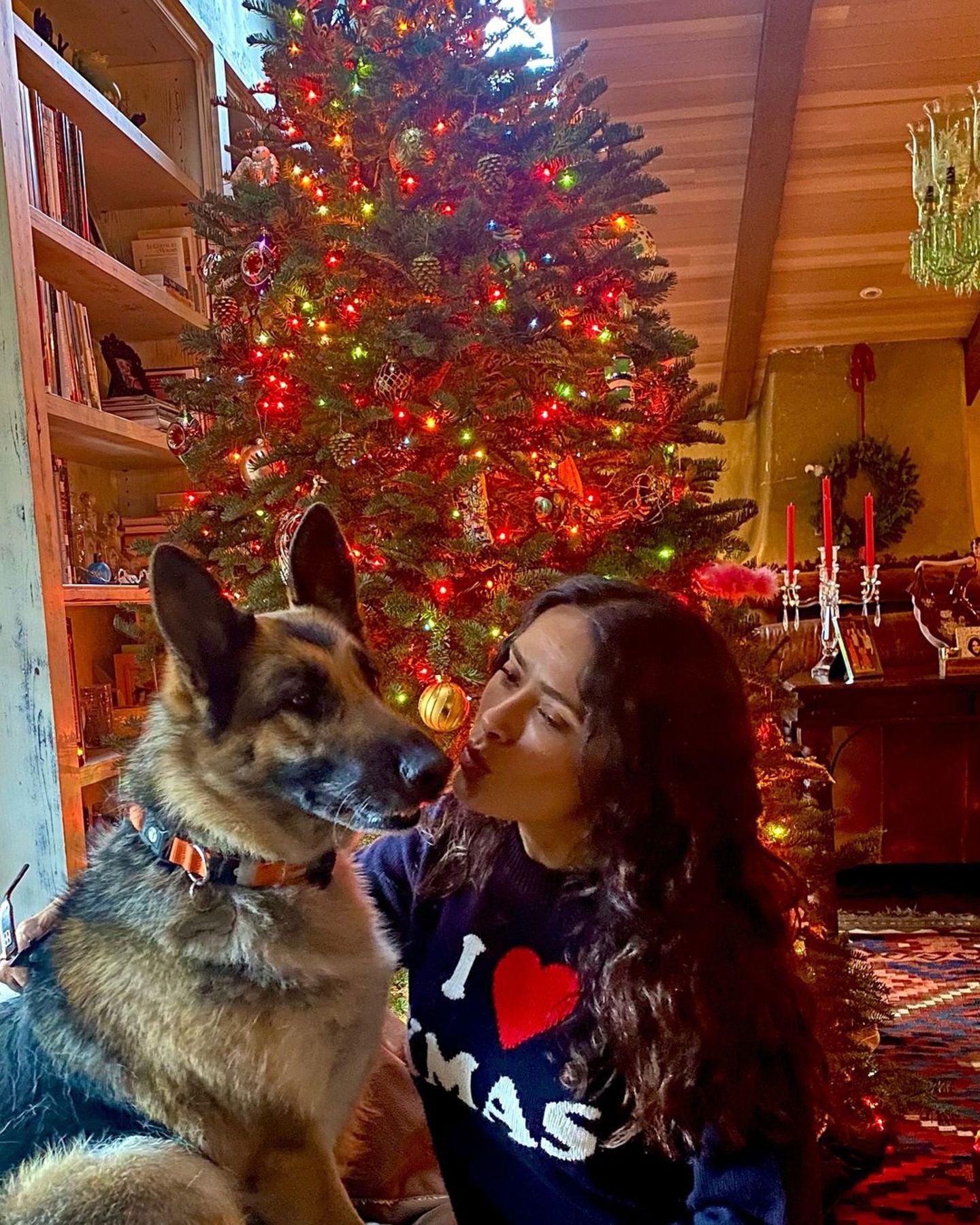 Weihnachtsbäume der Stars: Salma Hayek mit Schäferhund