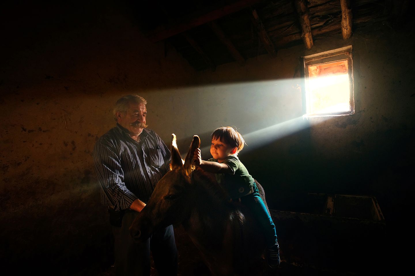 Ein Junge sitzt fröhlich auf einem Esel