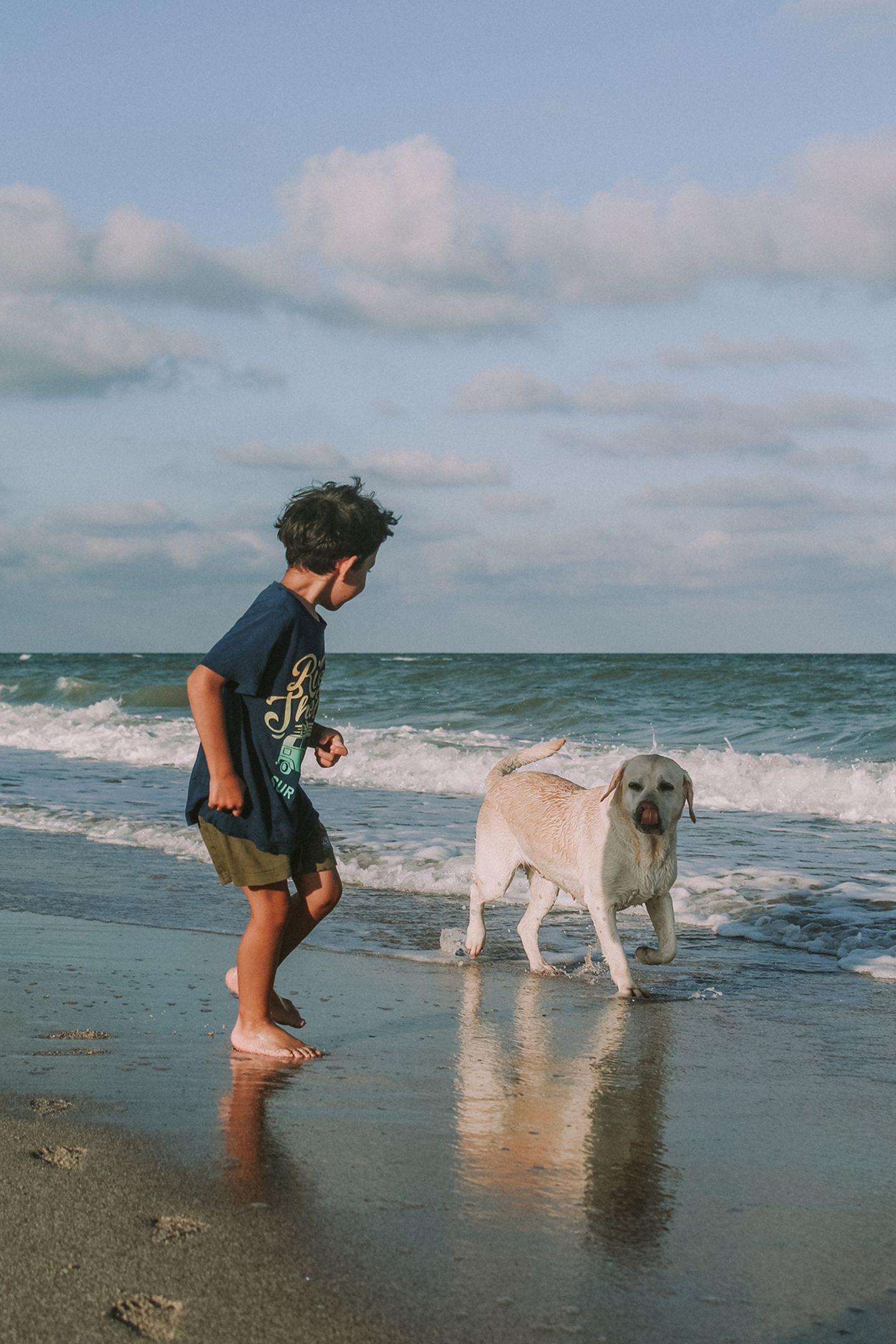 Ein Junge spielt am Strand mit einem Hund