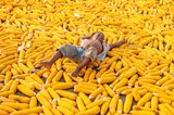 Ein Junge liegt glücklich auf Maiskolben