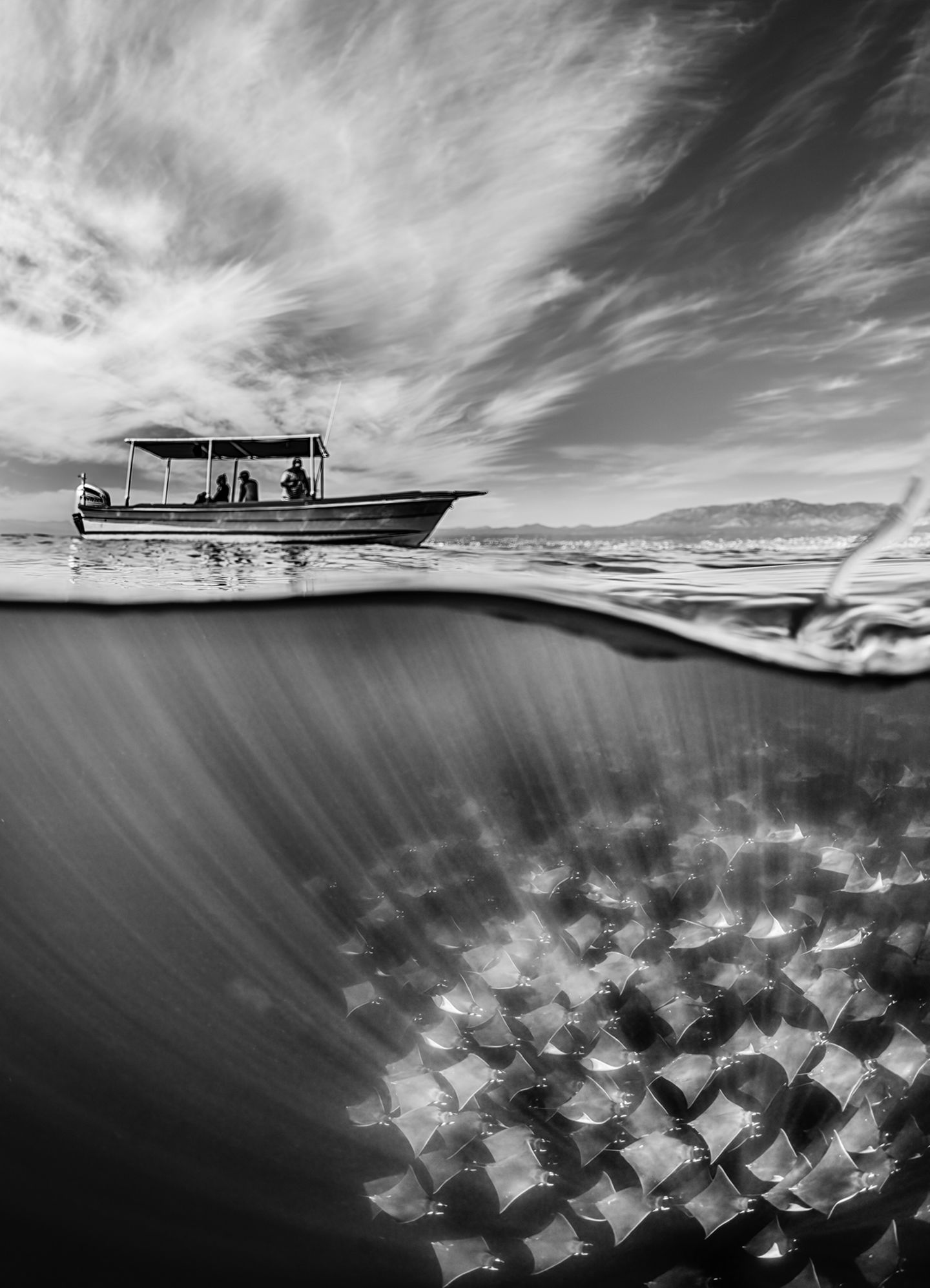 Travel Photographer of the Year 2023: Teufelsrochen unter Boot