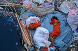 Nature Photography Contest: Frau schläft auf Müllhalde