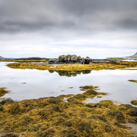Island: Süden der Westfjorde