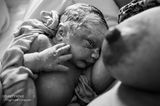 Geburtsfotografie 2024: Neugeborenes schaut zur Brust