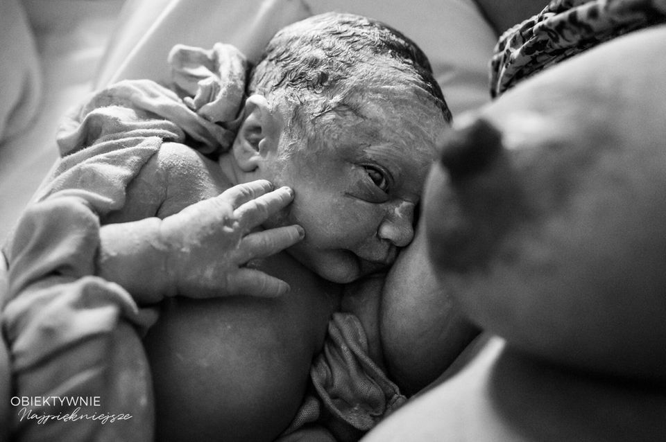 Geburtsfotografie 2024: Neugeborenes schaut zur Brust