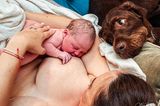 Geburtsfotografie 2024: Mutter mit Säugling und Hund nach der Geburt