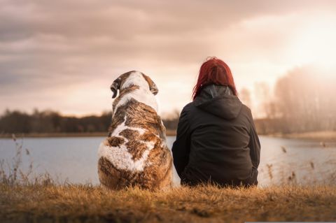 Psychologie: Eine Frau sitzt neben einem Hund am See