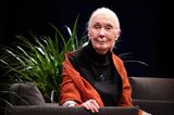 Star-Geburtstag: Jane Goodall