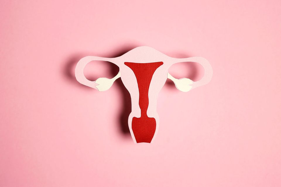 Ausschabung in den Wechseljahren: Ein aus Papier geformter Uterus, wie ein Scherenschnitt, aber in Rosatönen