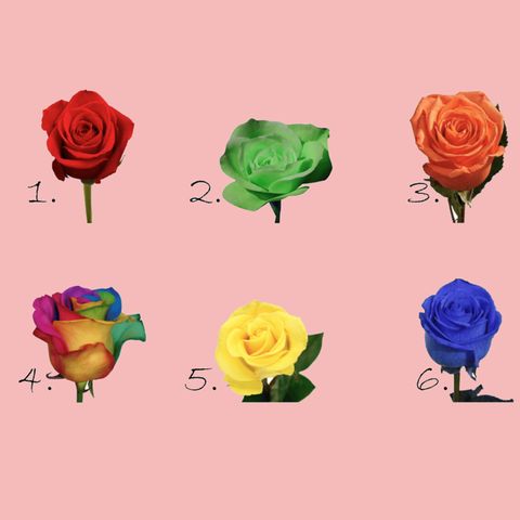 Persönlichkeitstest: Wähle eine Rose und erfahre mehr über deinen Charakter
