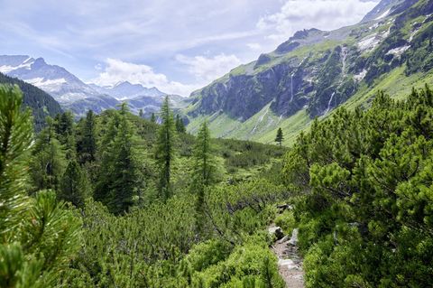 Gewinnspiel: Nationalpark Hohe Tauern - Urige Almen, echte Wildnis und fantastische Ausblicke