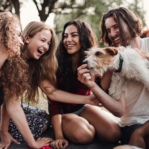 Zillennials: Eine Gruppe junger Freunde auf der Wiese mit einem Hund