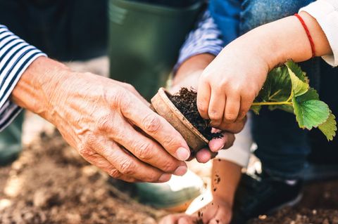 Gartenarbeit: Nie mehr Dreck unter den Nägeln – dank dieses Tricks (nein, keine Handschuhe!)