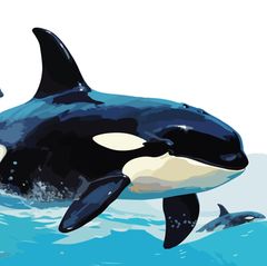 Die größten Irrtümer über die Wechseljahre: Illustrierte Orcas, die aus dem Wasser springen
