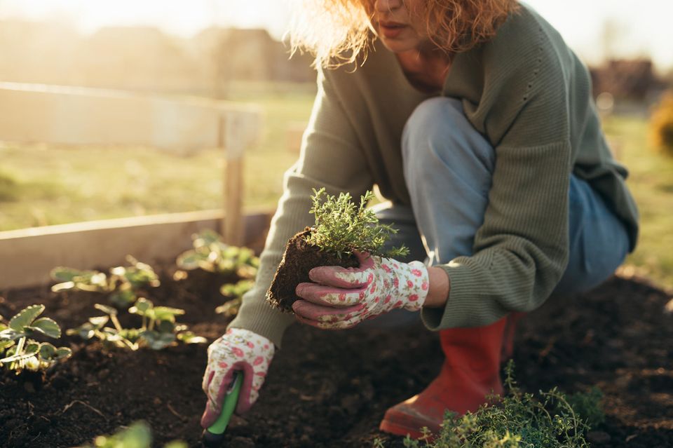 Gartenarbeit im Mai: 5 Dinge, die du in deiner grünen Oase jetzt erledigen kannst