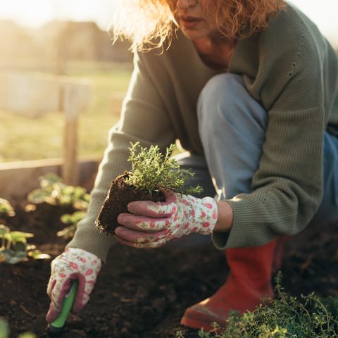 Gartenarbeit im Mai: 5 Dinge, die du in deiner grünen Oase jetzt erledigen kannst