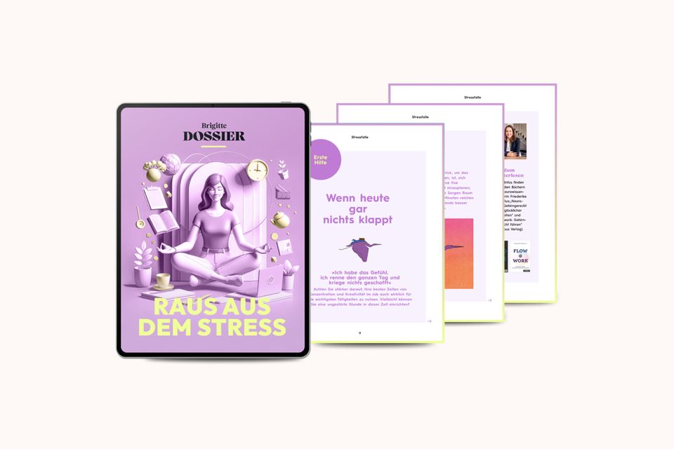 Oferta de dossiê de Brigitte