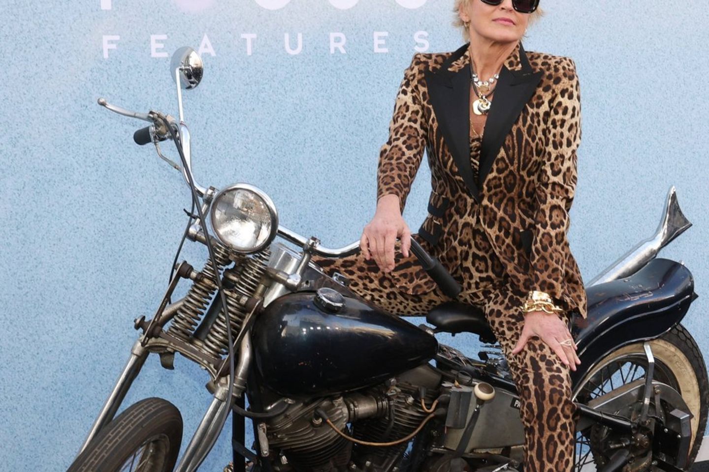 Sharon Stone bei der Premiere des Films "The Bikeriders" in Los Angeles.