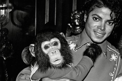 Michael Jackson 1986 mit Bubbles auf der Neverland-Ranch.