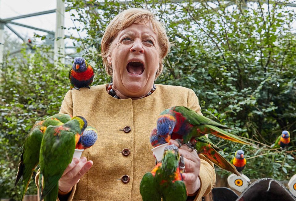 Angela Merkel: mit Vögeln