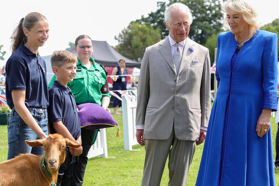König Charles III., Königin Camilla und die Goldene Guernsey-Ziege Tamsin auf der Kanalinsel Guernsey.