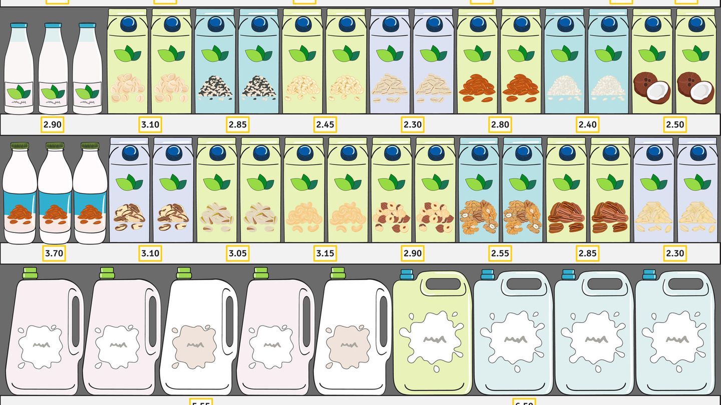 Neue-Empfehlungen-der-DGE-Pflanzendrinks-Worauf-du-vor-dem-Kauf-achten-musst