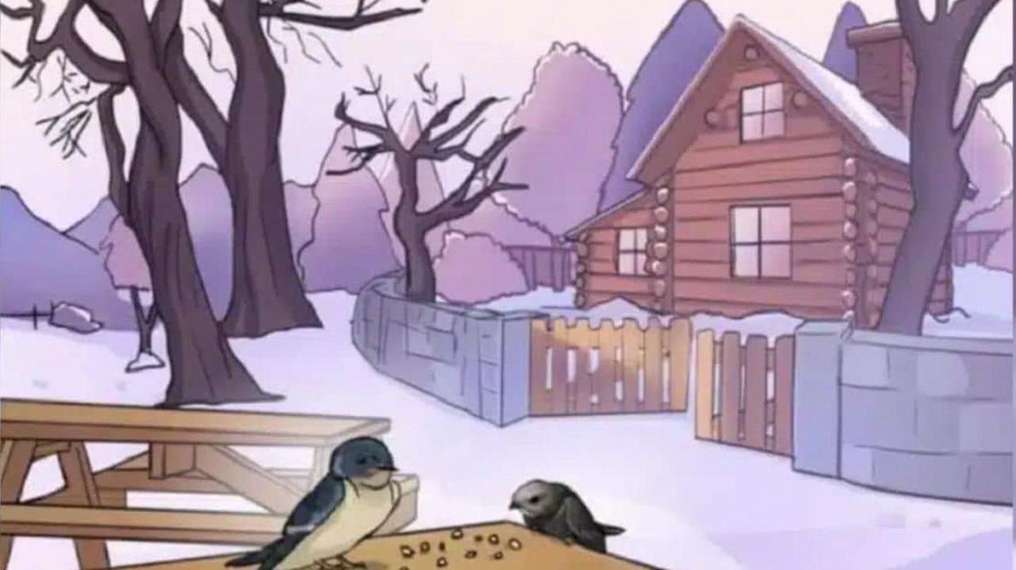 Montags-IQ-Test-Nur-3-finden-den-Fehler-in-der-Winterlandschaft-in-9-Sekunden