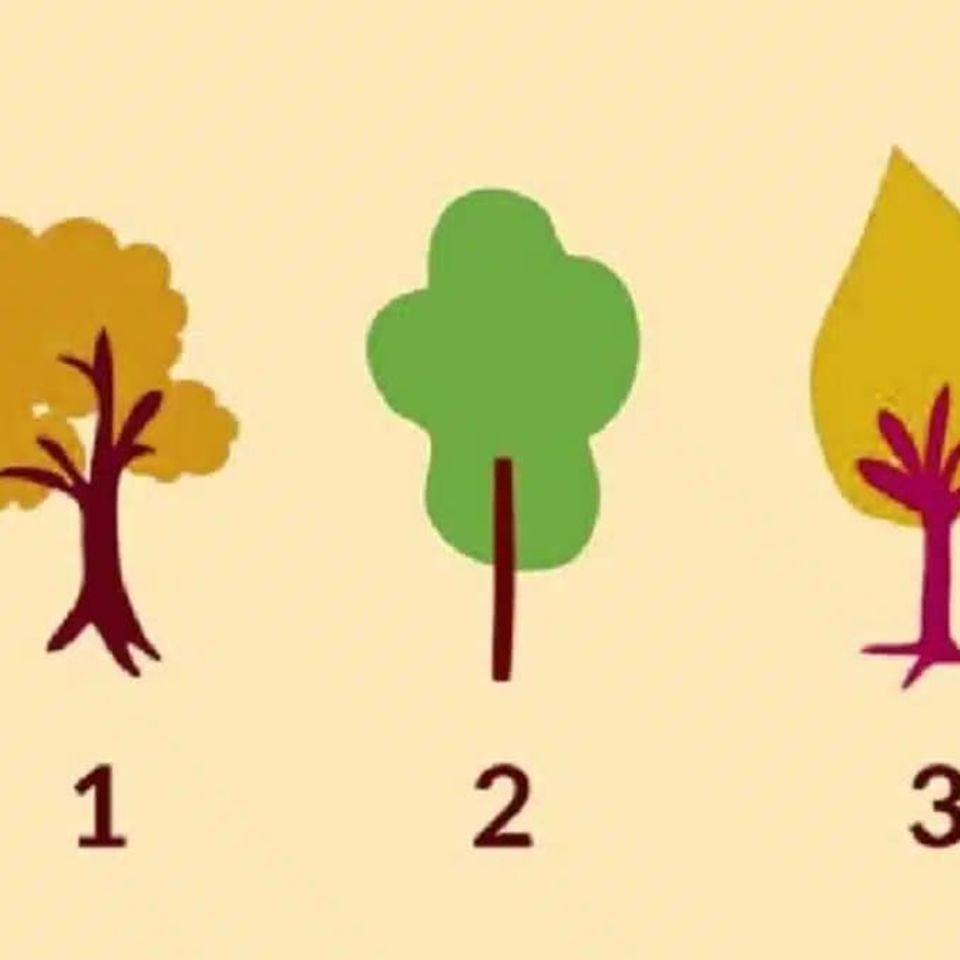 Wähle einen Baum