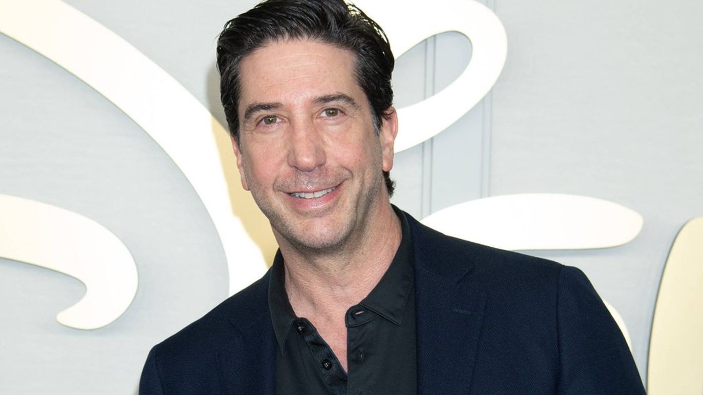 David Schwimmer: Er lieferte Rod Stewart dessen Scheidungspapiere