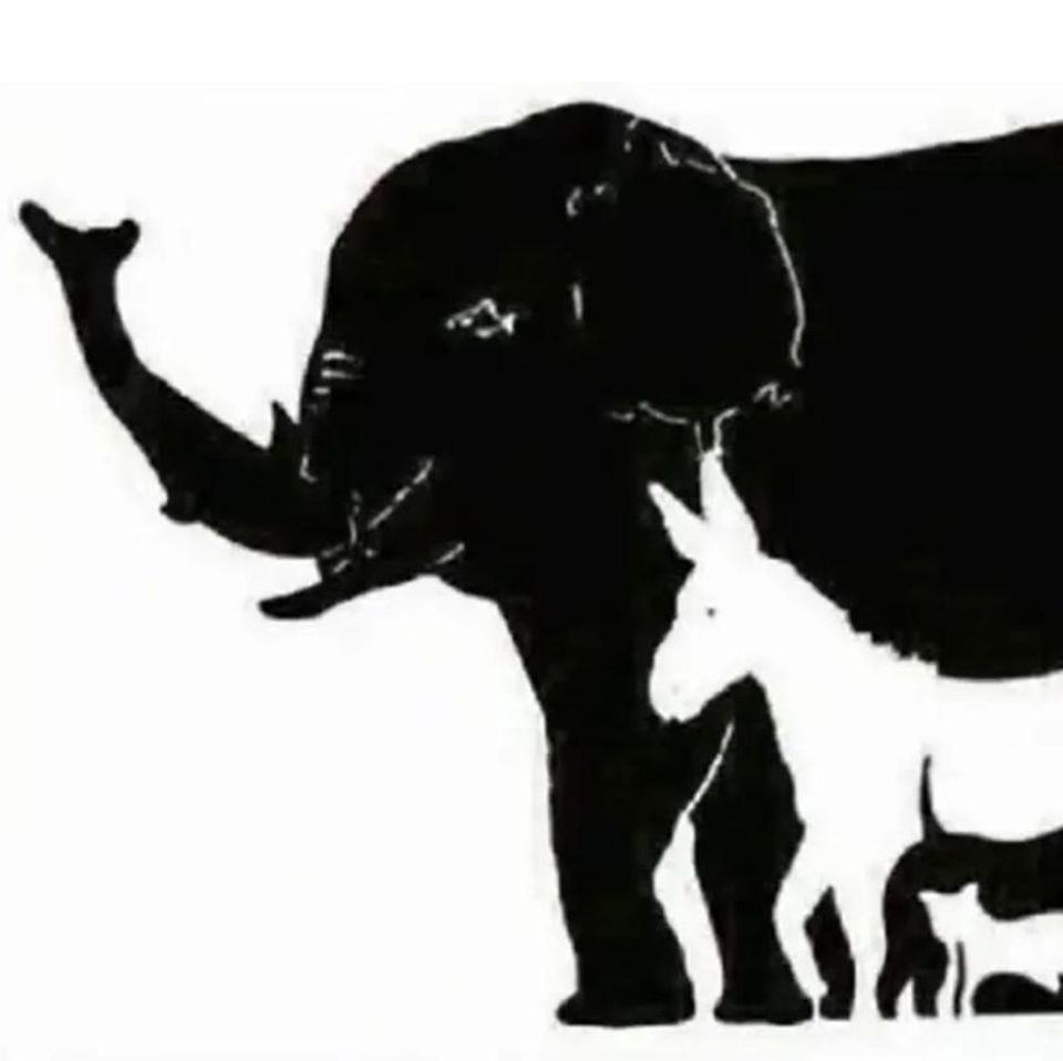 Wie viele Tiere du findest, offenbart dein mentales Alter