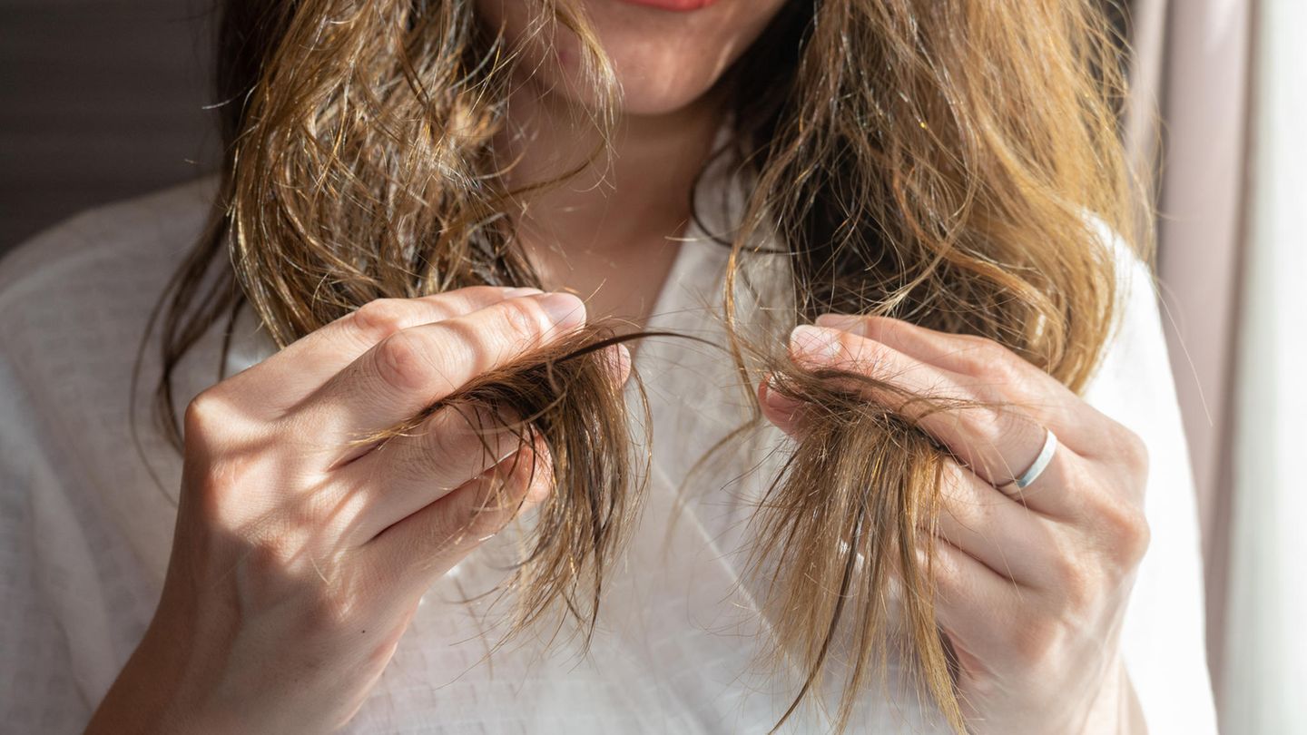 Studie belegt: Deshalb schneiden Friseure deine Haare immer zu kurz