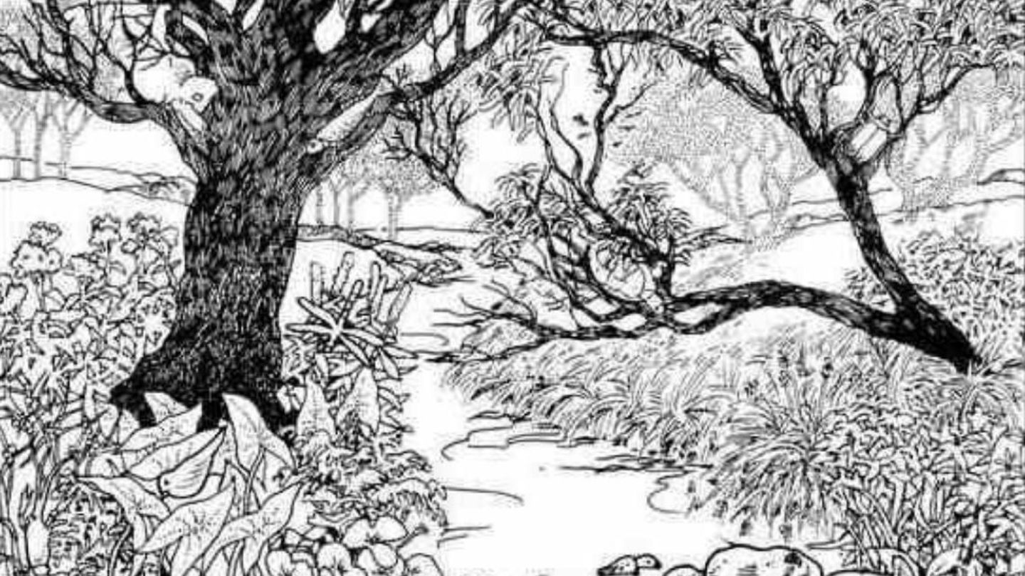 IQ-Test-Alle-sehen-den-Wald-doch-nur-wenige-finden-das-Gesicht-des-M-dchens